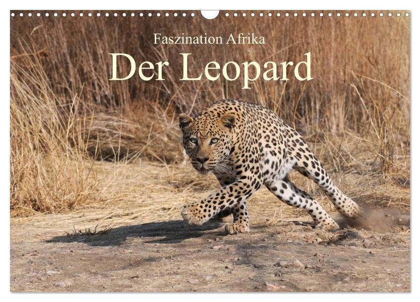 Faszination Afrika: Der Leopard (Wandkalender 2024 DIN A3 quer) CALVENDO Monatskalender