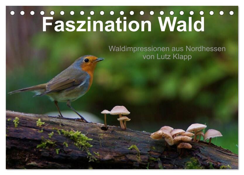 Faszination Wald. Waldimpressionen aus Nordhessen von Lutz Klapp (Tischkalender 2024 DIN A5 quer) CALVENDO Monatskalender
