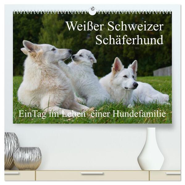Weißer Schweizer Schäferhund - Ein Tag im Leben einer Hundefamilie (hochwertiger Premium Wandkalender 2024 DIN A2 quer) Kunstdruck in Hochglanz