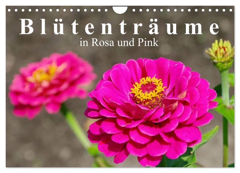 Blütenträume in Rosa und Pink (Wandkalender 2024 DIN A4 quer) CALVENDO Monatskalender