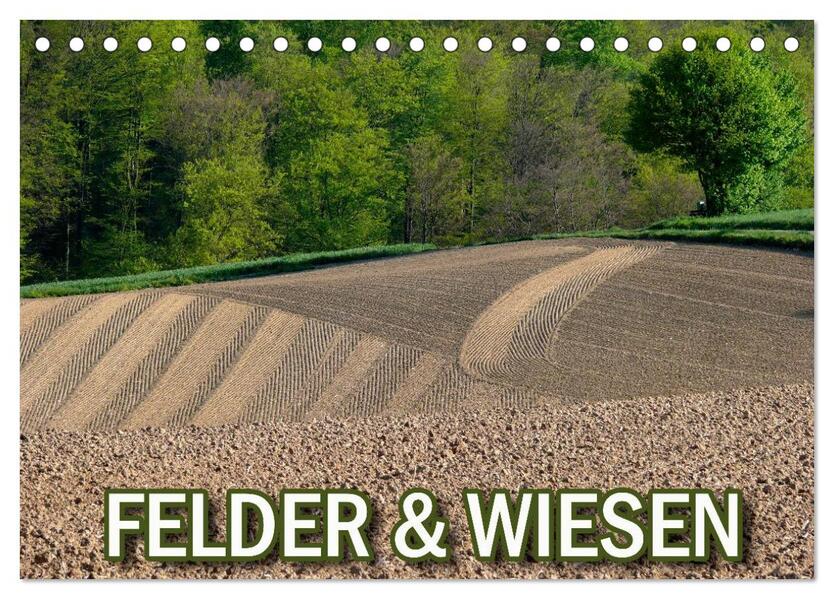 Felder und Wiesen (Tischkalender 2024 DIN A5 quer) CALVENDO Monatskalender