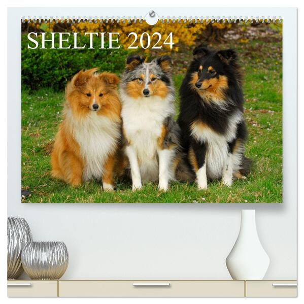 Sheltie 2024 (hochwertiger Premium Wandkalender 2024 DIN A2 quer) Kunstdruck in Hochglanz