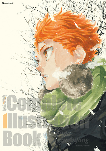 Crunchyroll Manga - Haikyu!! Complete Illustration Book - Ein Ende und ein Anfang, Furudate, Haruichi, Multicolor
