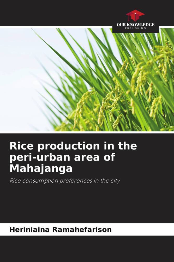 Rice production in the peri-urban area of Mahajanga