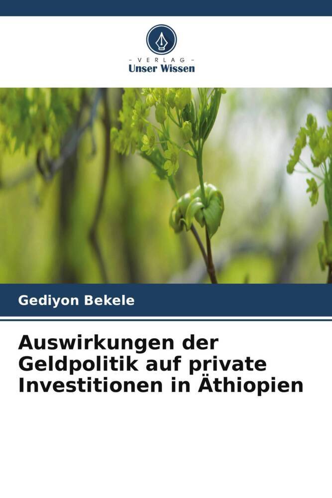 Auswirkungen der Geldpolitik auf private Investitionen in Äthiopien