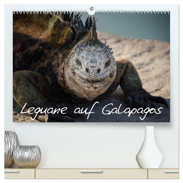 Leguane auf Galapagos (hochwertiger Premium Wandkalender 2024 DIN A2 quer) Kunstdruck in Hochglanz