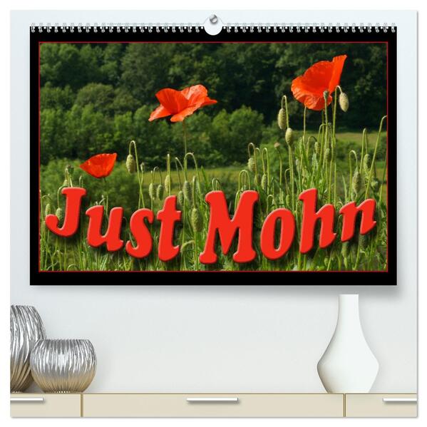 Just Mohn (hochwertiger Premium Wandkalender 2024 DIN A2 quer) Kunstdruck in Hochglanz