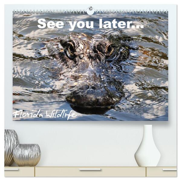 See you later ... Florida Wildlife (hochwertiger Premium Wandkalender 2024 DIN A2 quer) Kunstdruck in Hochglanz
