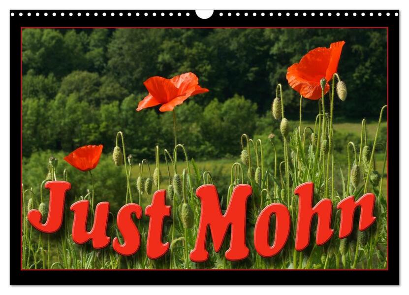Just Mohn (Wandkalender 2024 DIN A3 quer) CALVENDO Monatskalender