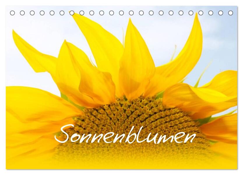 Sonnenblumen - die Blumen der Lebensfreude (Tischkalender 2024 DIN A5 quer) CALVENDO Monatskalender