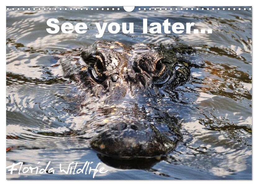 See you later ... Florida Wildlife (Wandkalender 2024 DIN A3 quer) CALVENDO Monatskalender
