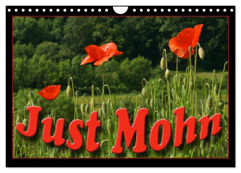 Just Mohn (Wandkalender 2024 DIN A4 quer) CALVENDO Monatskalender