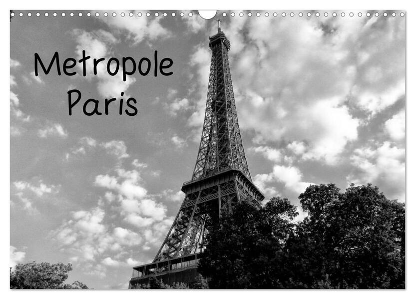 Metropole Paris (Wandkalender 2024 DIN A3 quer) CALVENDO Monatskalender