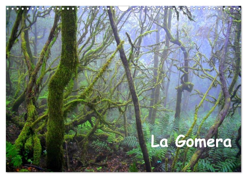 La Gomera (Wandkalender 2024 DIN A3 quer) CALVENDO Monatskalender