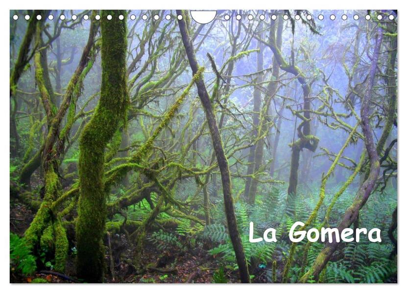 La Gomera (Wandkalender 2024 DIN A4 quer) CALVENDO Monatskalender