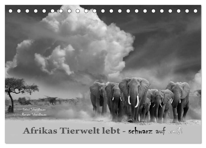 Afrikas Tierwelt lebt - schwarz auf weiß (Tischkalender 2024 DIN A5 quer) CALVENDO Monatskalender