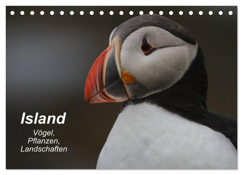 Island: Vögel Pflanzen Landschaften (Tischkalender 2024 DIN A5 quer) CALVENDO Monatskalender