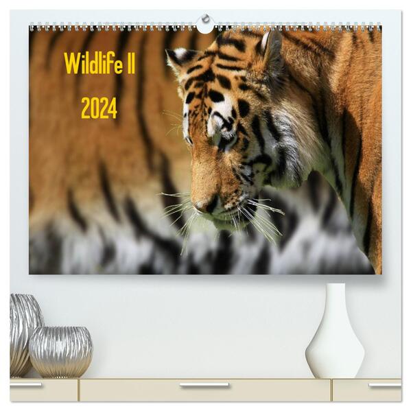 Wildlife II / 2024 (hochwertiger Premium Wandkalender 2024 DIN A2 quer) Kunstdruck in Hochglanz