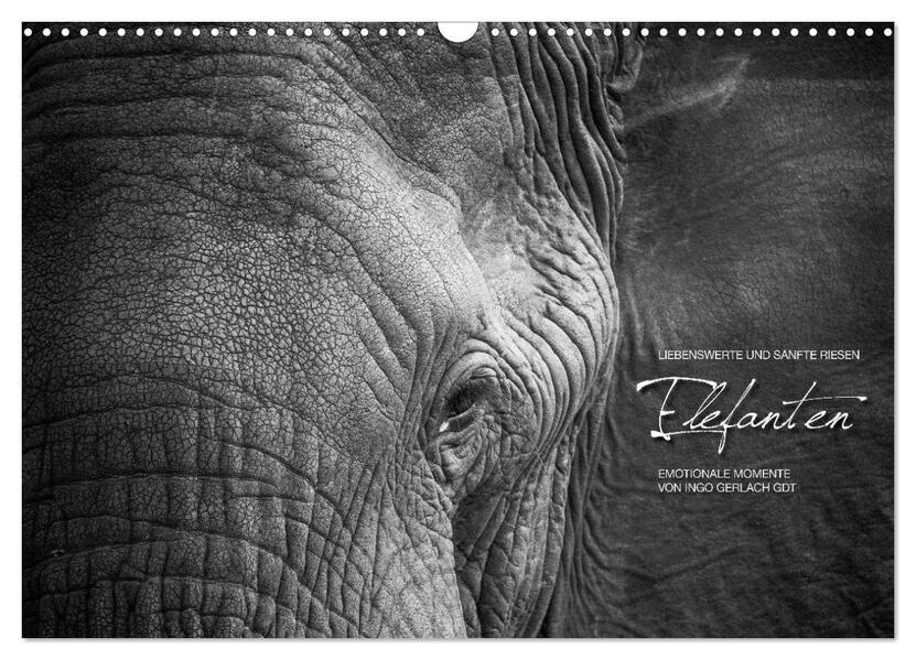 Emotionale Momente: Elefanten in black & white (Wandkalender 2024 DIN A3 quer) CALVENDO Monatskalender