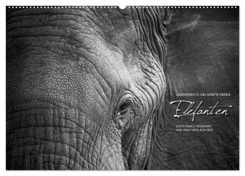 Emotionale Momente: Elefanten in black & white (Wandkalender 2024 DIN A2 quer) CALVENDO Monatskalender