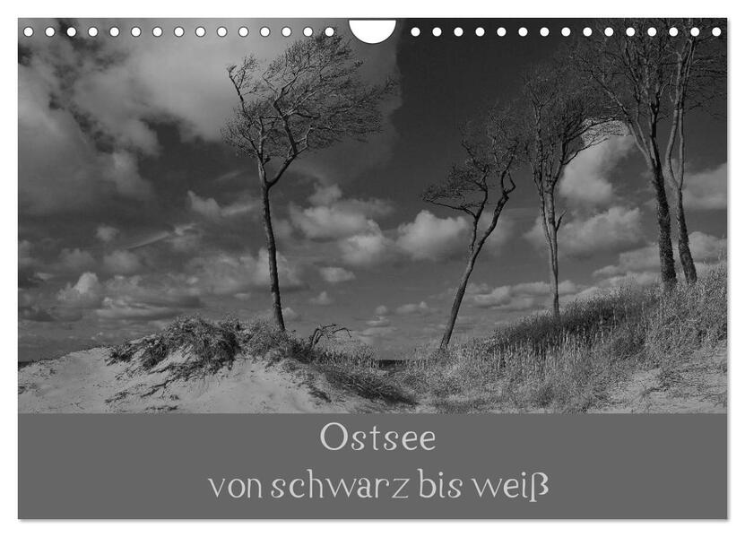 Ostsee - von schwarz bis weiß (Wandkalender 2024 DIN A4 quer) CALVENDO Monatskalender