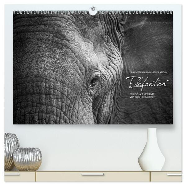 Emotionale Momente: Elefanten in black & white (hochwertiger Premium Wandkalender 2024 DIN A2 quer) Kunstdruck in Hochglanz