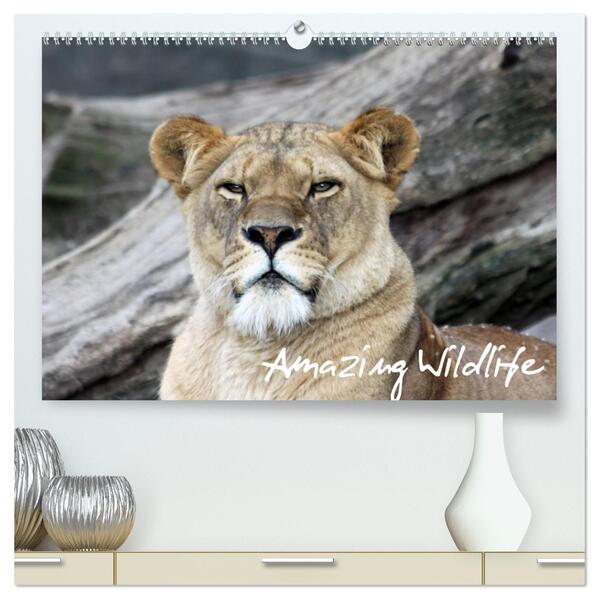 Amazing Wildlife (hochwertiger Premium Wandkalender 2024 DIN A2 quer) Kunstdruck in Hochglanz