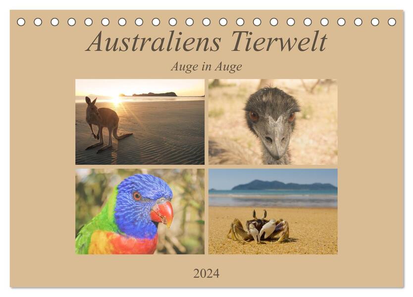Australiens Tierwelt - Auge in Auge (Tischkalender 2024 DIN A5 quer) CALVENDO Monatskalender