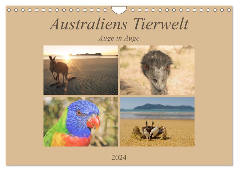 Australiens Tierwelt - Auge in Auge (Wandkalender 2024 DIN A4 quer) CALVENDO Monatskalender