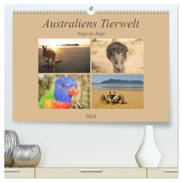 Australiens Tierwelt - Auge in Auge (hochwertiger Premium Wandkalender 2024 DIN A2 quer) Kunstdruck in Hochglanz