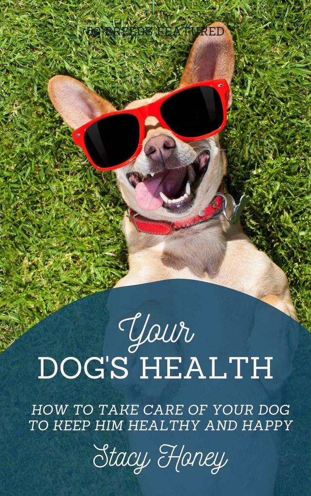 Your Dog‘s Health: How to Take Care of Your Dog to Keep Him Healthy and Happy