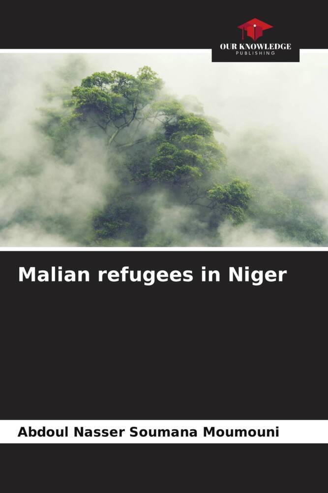 Malian refugees in Niger