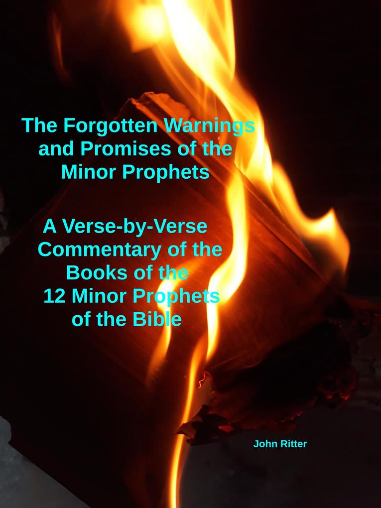 The Forgotten Warnings and Promises of the Minor Prophets A Verse-by-Verse Commentary of the Books of the 12 Minor Prophets of the Bible