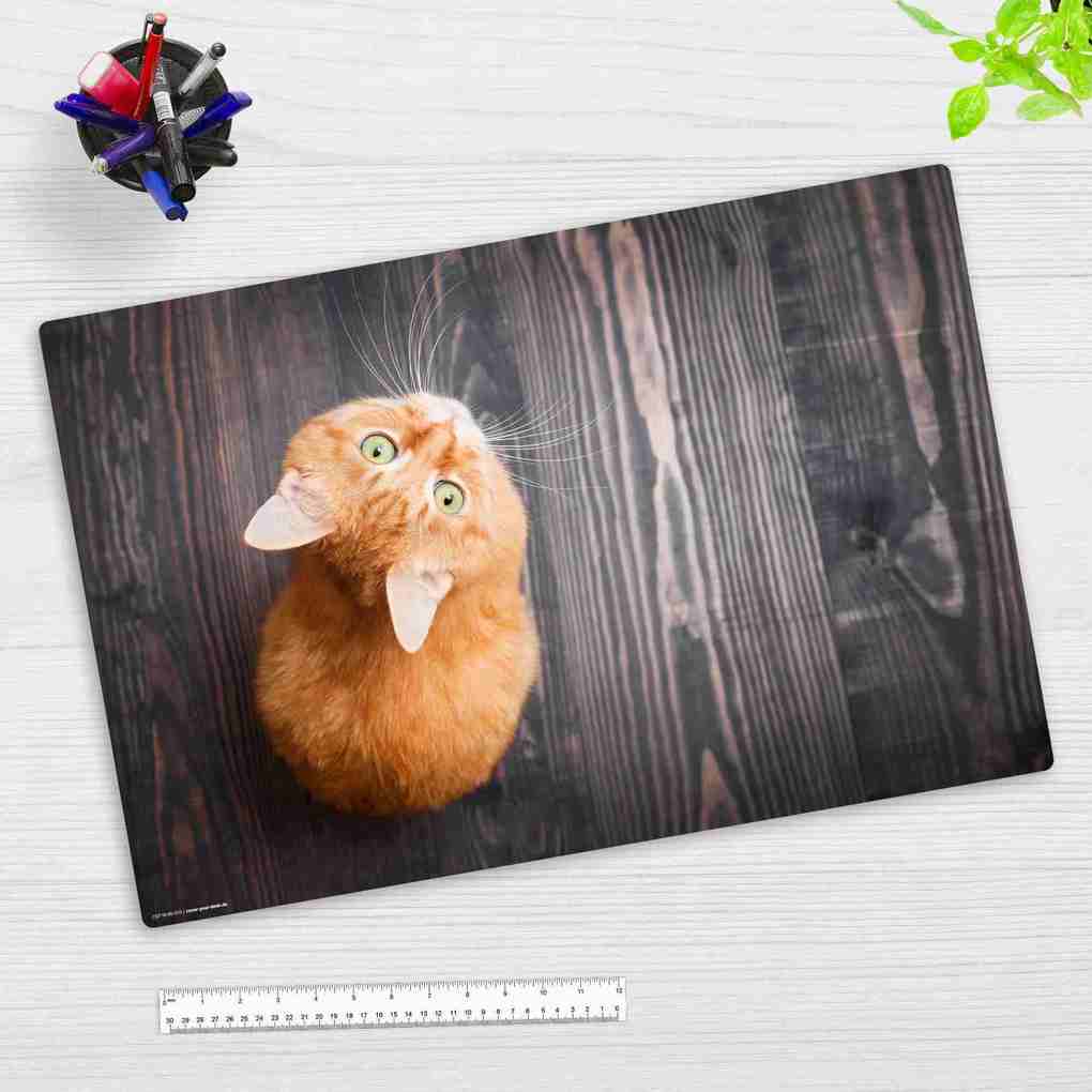 Cover-your-desk Schreibtischunterlage für Kinder und Erwachsene Orange Katze aus hochwertigem Vinyl 60 x 40 cm