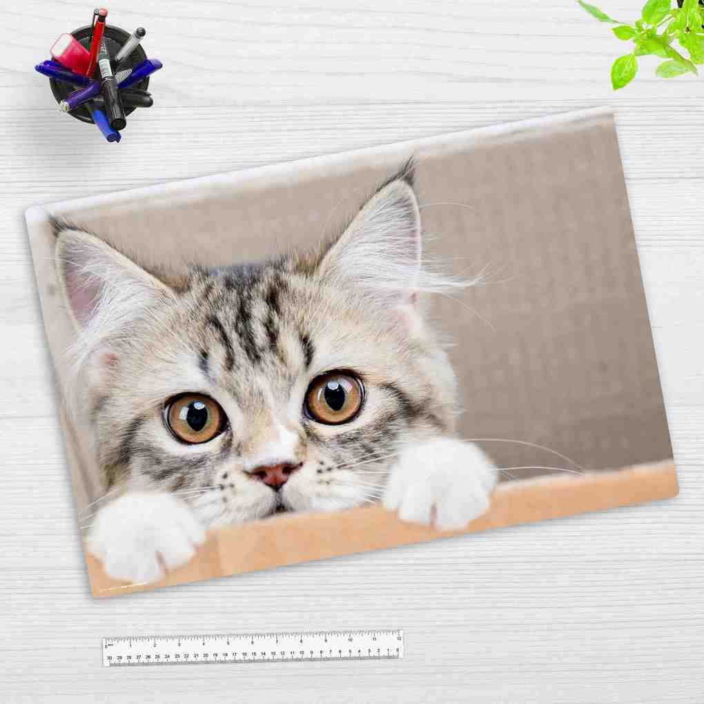 Cover-your-desk Schreibtischunterlage für Kinder und Erwachsene Maine Coon Kätzchen aus hochwertigem Vinyl 60 x 40 cm