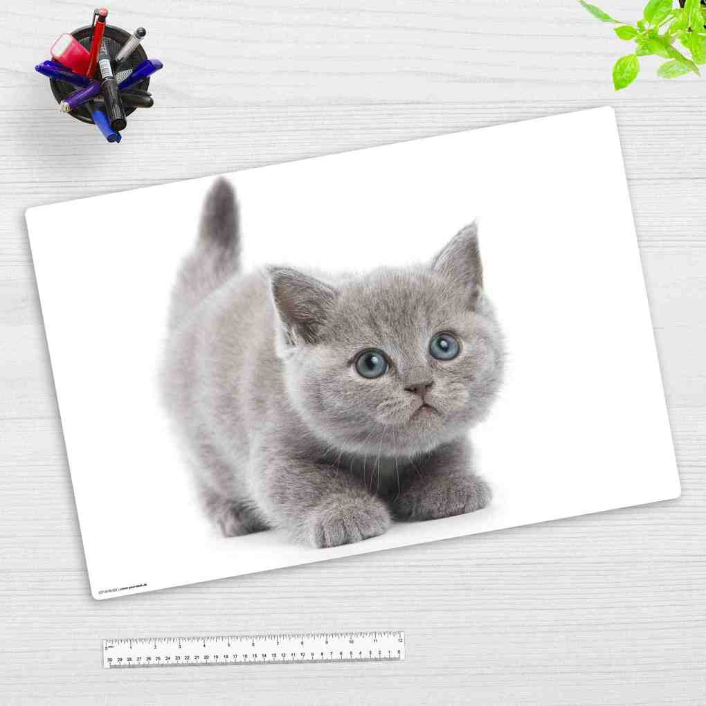 Cover-your-desk Schreibtischunterlage für Kinder und Erwachsene Süße graue Katze aus hochwertigem Vinyl 60 x 40 cm