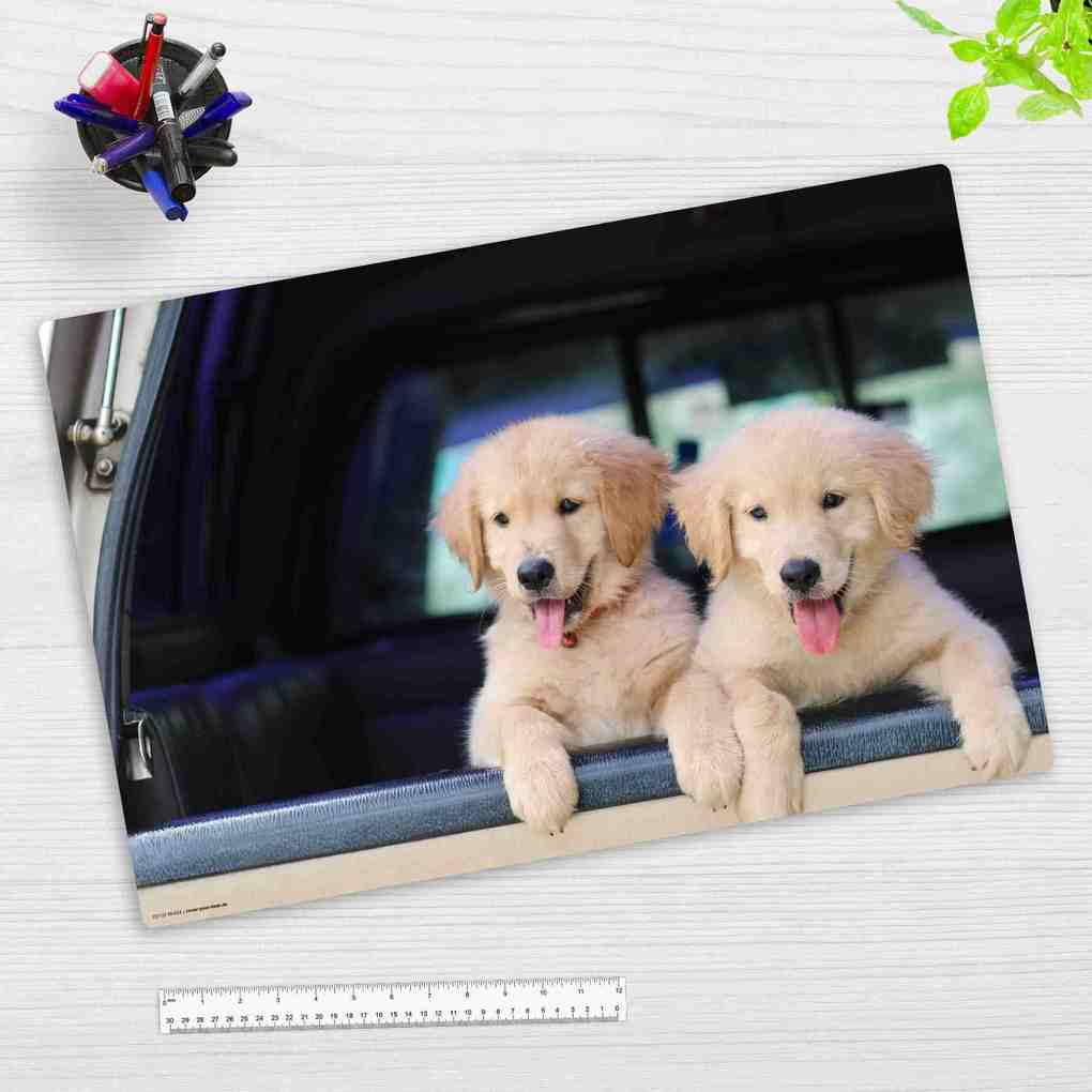 Cover-your-desk Schreibtischunterlage für Kinder und Erwachsene Golden Retriever Welpen aus hochwertigem Vinyl 60 x 40 cm