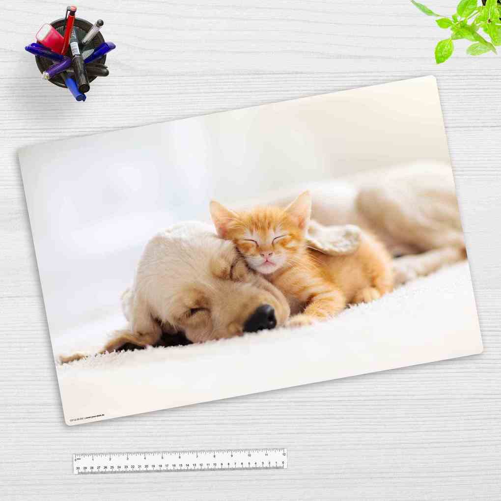 Cover-your-desk Schreibtischunterlage für Kinder und Erwachsene Freundschaft zwischen Katze und Hund aus hochwertigem Vinyl 60 x 40 cm