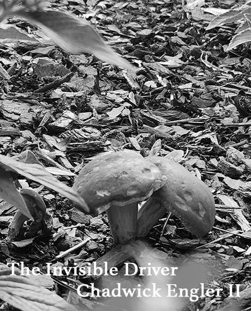 The Invisible Driver