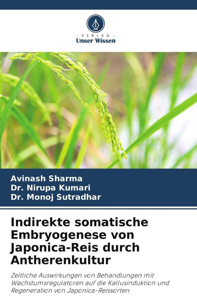 Indirekte somatische Embryogenese von Japonica-Reis durch Antherenkultur