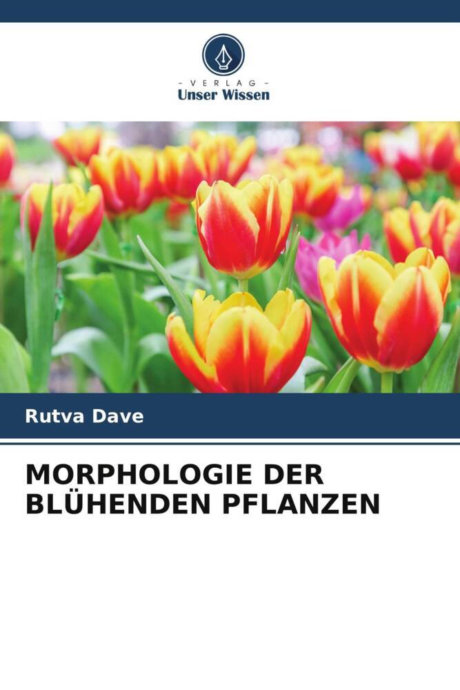 MORPHOLOGIE DER BLÜHENDEN PFLANZEN