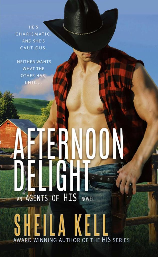Afternoon Delight (HIS series #12)