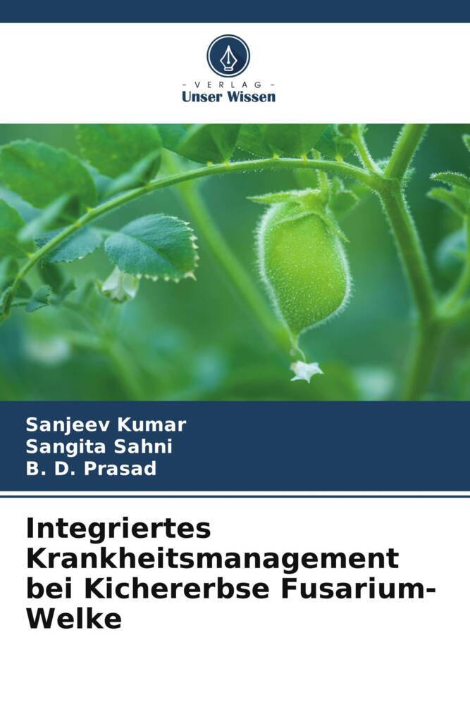Integriertes Krankheitsmanagement bei Kichererbse Fusarium-Welke