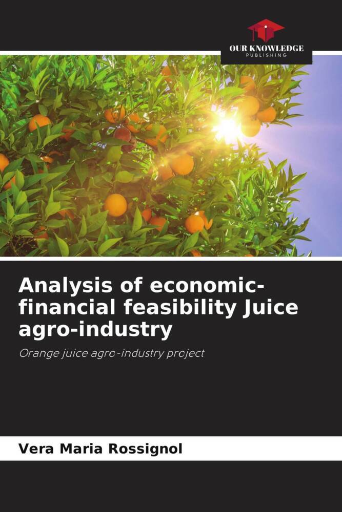 Analysis of economic-financial feasibility Juice agro-industry
