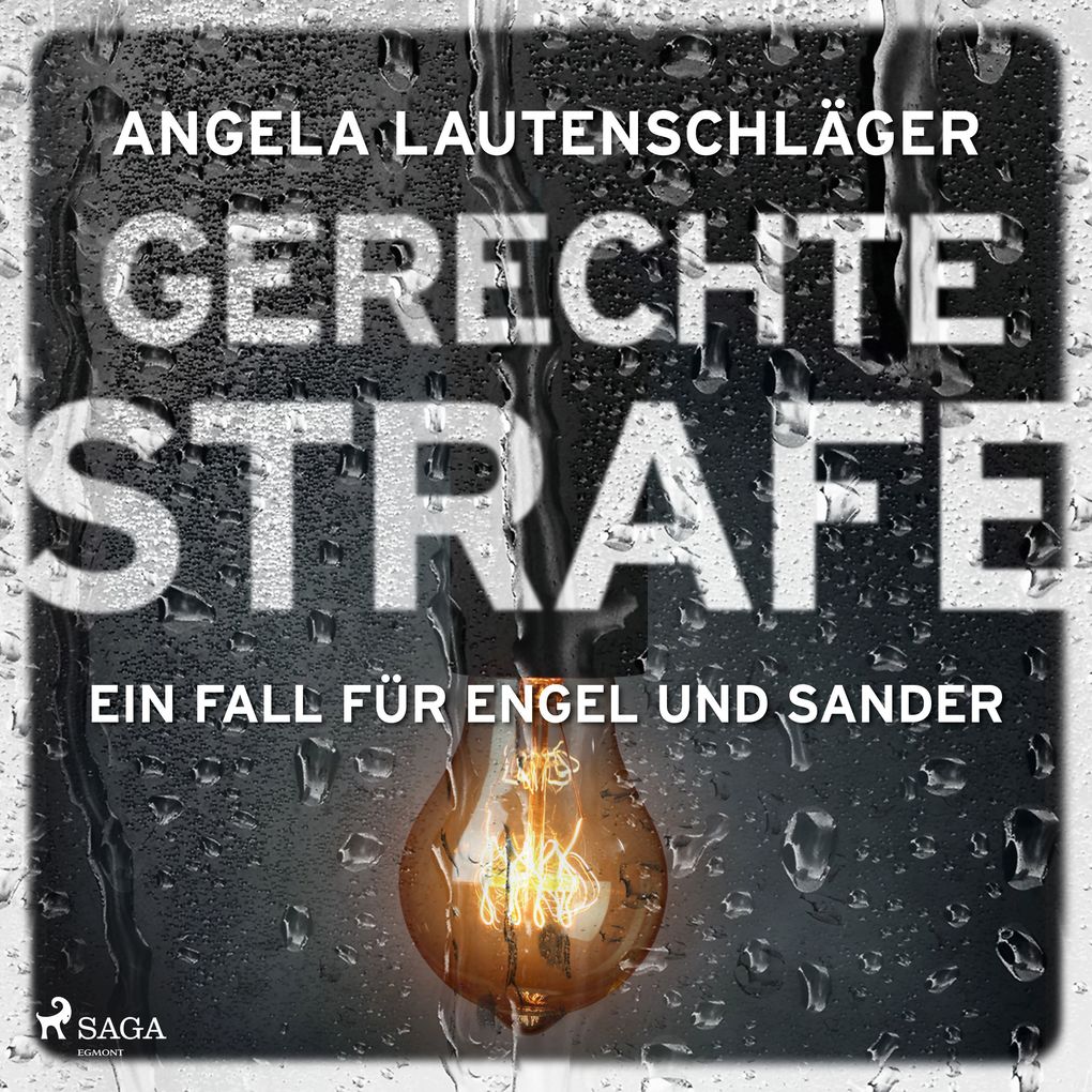 Gerechte Strafe (Ein Fall für Engel und Sander Band 5)