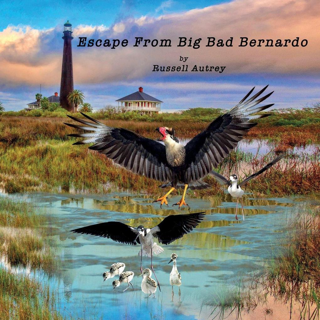 Escape From Big Bad Bernardo