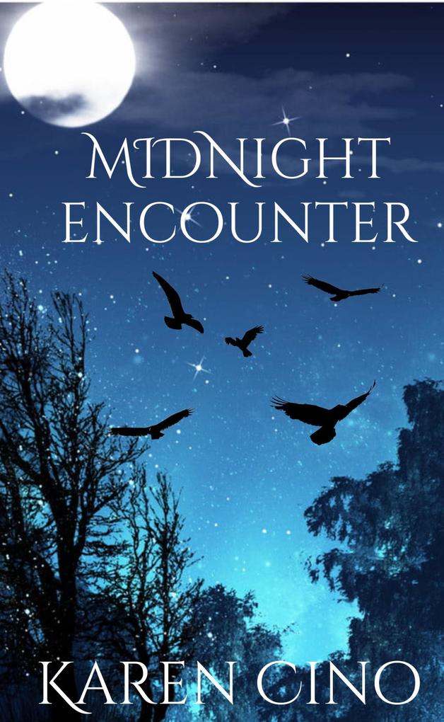 Midnight Encounter