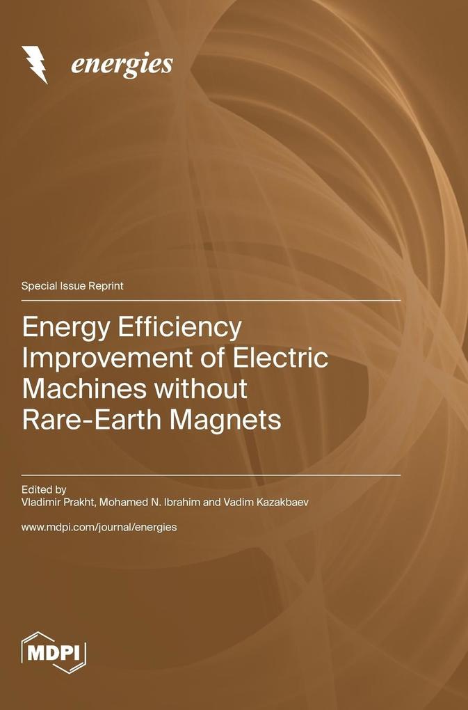 Energy Efficiency Improvement of Electric Machines without Rare-Earth Magnets