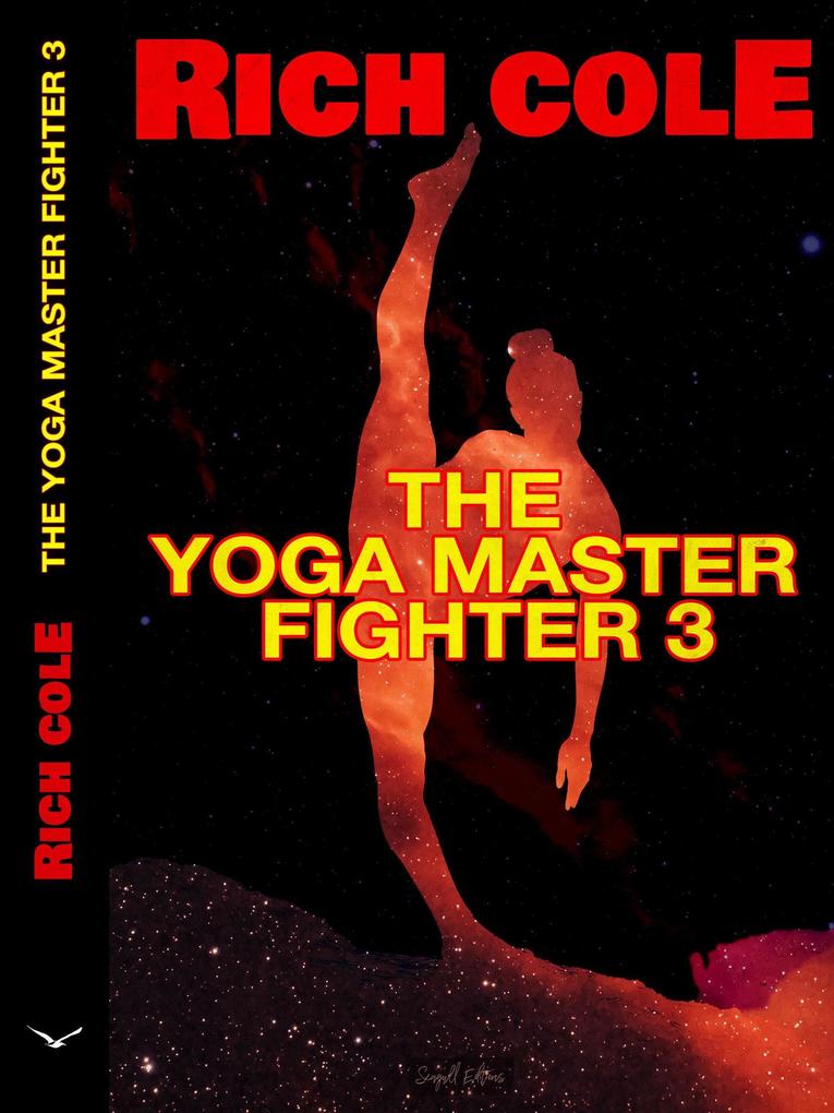 The Yoga Master Fighter 3