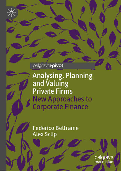 Analysing Planning and Valuing Private Firms